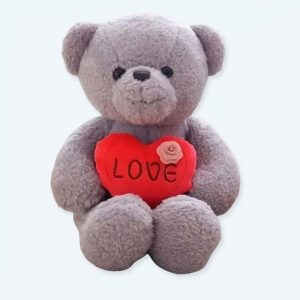 Amore orsacchiotto grigio