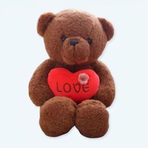 Orsacchiotto marrone Amore